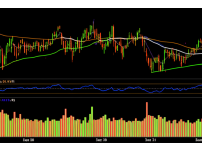 기사 관련 이미지